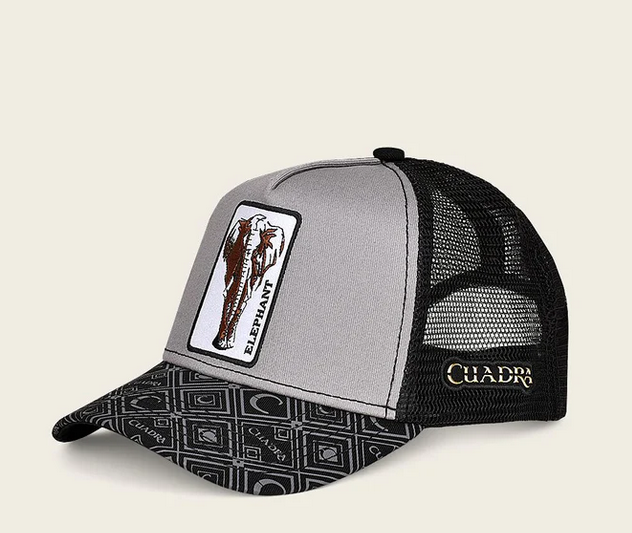 CUADRA GORRA DISENO ELEFANTE