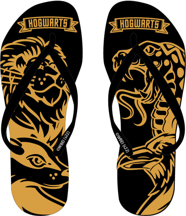 Harry Potter Strand-Set produktHerren – Flip Flops + Badetuch 70x140 cm | Lizenz