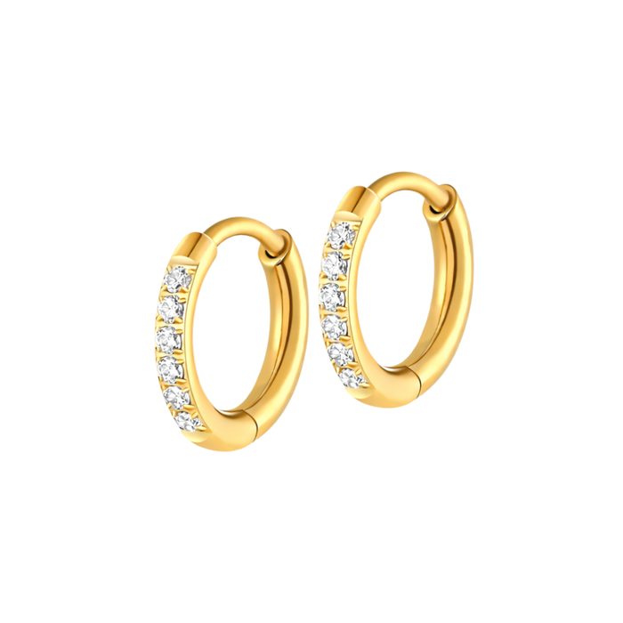 Dress Me Up Hoops in Titanium (multiple sizes)