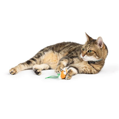 Cat with Flower Flinger Cat Toy.