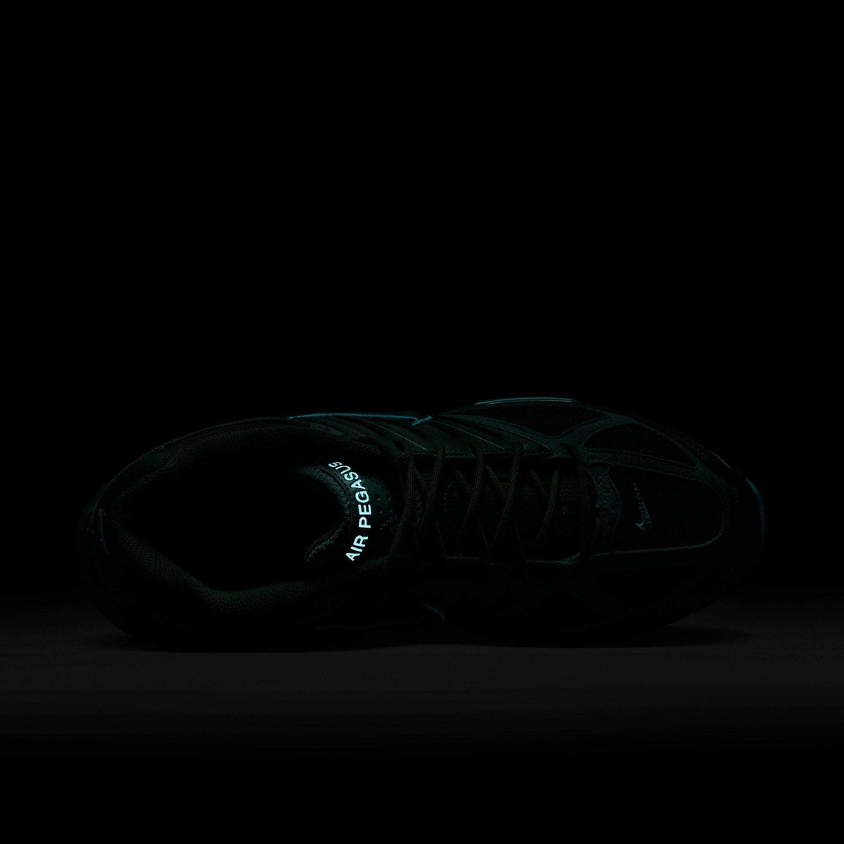 Nike Air Pegasus 2005 - Men's
