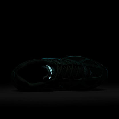 Nike Air Pegasus 2005 - Men's