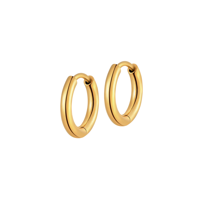 Slim Clicker Hoops in Titanium (multiple sizes)